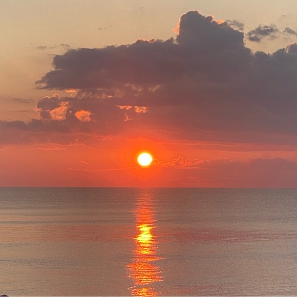 Meet your Posher, Cam - Picture 1 of 1